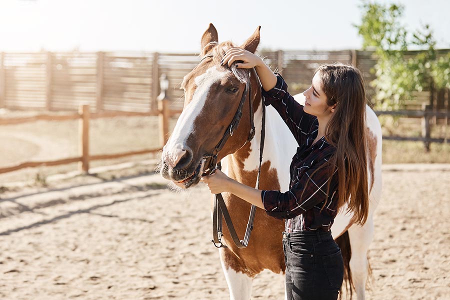 Contact - Woman Petting Her Brown and White Horse on a Ranch