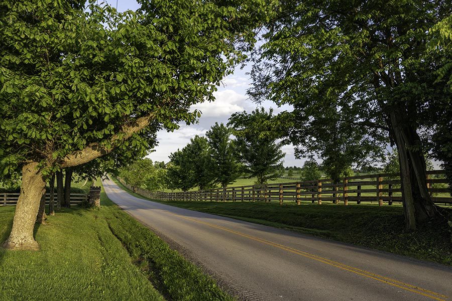 Russell Springs, KY Insurance - Country Road With Trees on either Side, on a Summer Morning